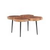 Rose 25 in. W Natural Brown Live Edge Rectangle Wood Top Small Coffee Table by Linon Home Decor -Linon Home Decor Shop natural linon home decor coffee tables hd221918 64 1000