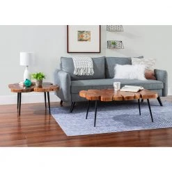 Rose 38 in. W Natural Brown Live Edge Large Rectangle Wood Top Coffee Table by Linon Home Decor -Linon Home Decor Shop natural linon home decor coffee tables hd221919 4f 1000